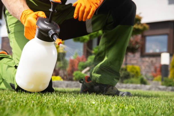Best Bed Bug Extermination  in Buckeye Lake, OH
