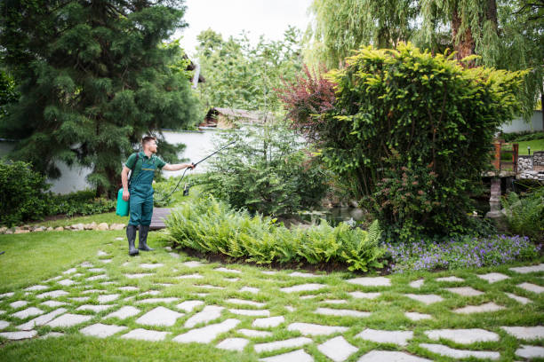 Best Pest Control for Restaurants  in Buckeye Lake, OH
