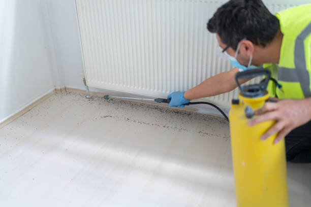 Best Pest Prevention Services  in Buckeye Lake, OH